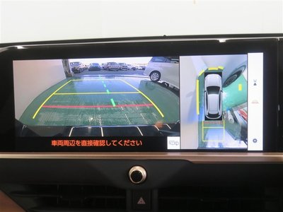 TOYOTA CROWN SPORT - 10