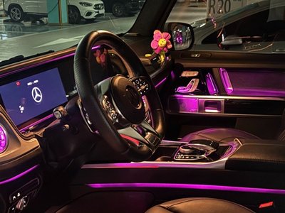 2021 Mercedes-BENZ G-CLASS 缩略图 12