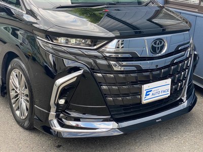 2023 Toyota ALPHARD 缩略图 13