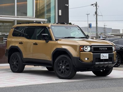 TOYOTA LAND CRUISER 250 - 9