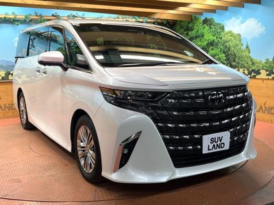 2024 TOYOTA ALPHARD 缩略图 18