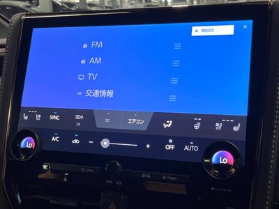 2024 TOYOTA ALPHARD 缩略图 50