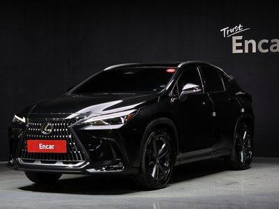 LEXUS NX - 1