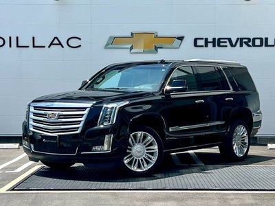 2021 Cadillac ESCALADE 缩略图 65