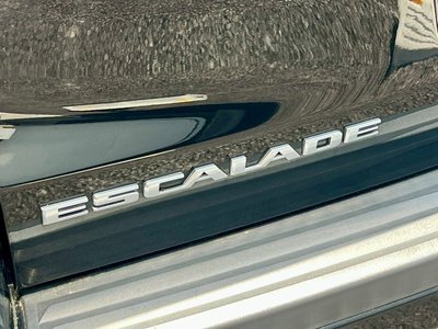 2021 Cadillac ESCALADE 缩略图 19