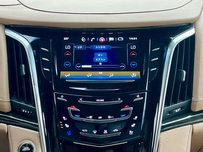 2021 Cadillac ESCALADE 缩略图 47