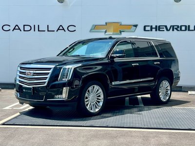 2021 Cadillac ESCALADE 缩略图 77