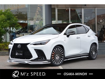 LEXUS NX - 1