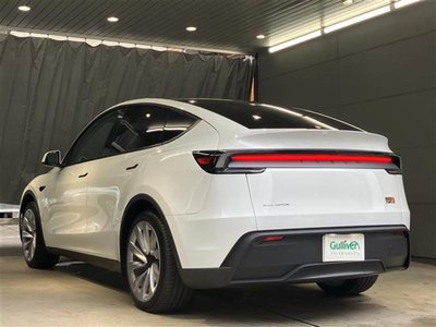 2025 Tesla MODEL Y — миниатюра 45