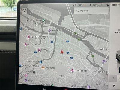 2025 Tesla MODEL Y — миниатюра 28