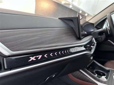 2023 BMW X7 缩略图 26