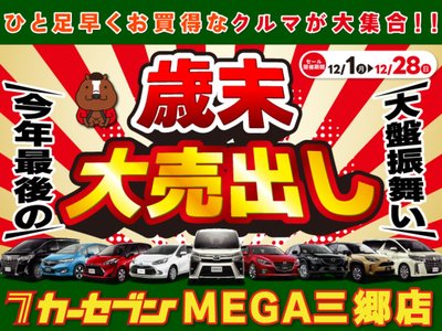 TOYOTA LAND CRUISER 300 - 2