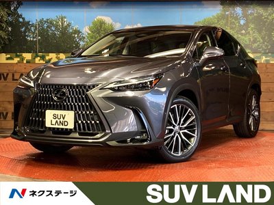 LEXUS NX - 1
