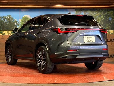 2022 Lexus NX 缩略图 30