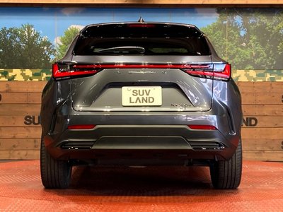 2022 Lexus NX 缩略图 15