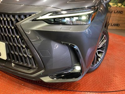 2022 Lexus NX 缩略图 12