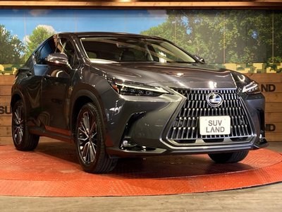 2022 Lexus NX 缩略图 16