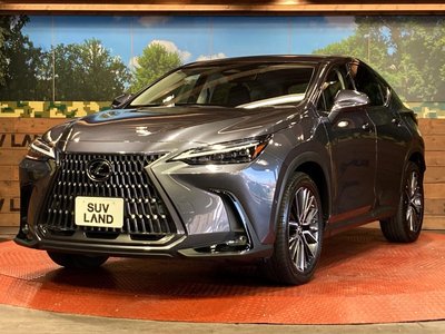 2022 Lexus NX 缩略图 28