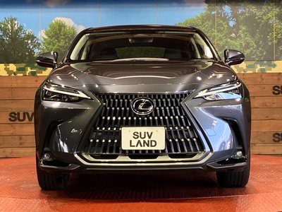 2022 Lexus NX 缩略图 14