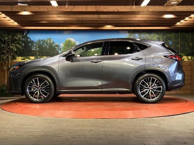 2022 Lexus NX 缩略图 31