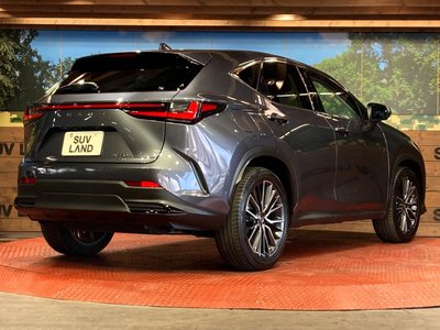 2022 Lexus NX 缩略图 17