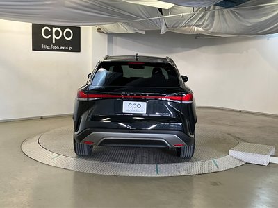 LEXUS RX - 10