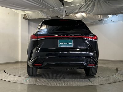 LEXUS RX - 7