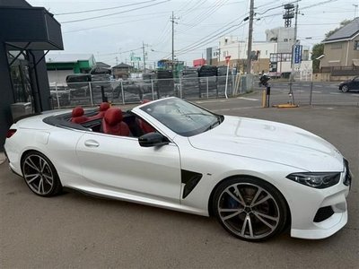 2019 BMW BMW (8 SERIES CONVERTIBLE) — миниатюра 13