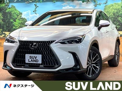 LEXUS NX - 1