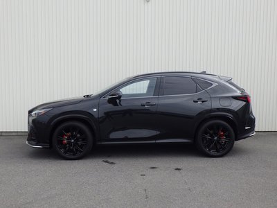 2024 Lexus NX 照片 10