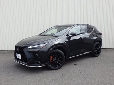 2024 Lexus NX 缩略图 11