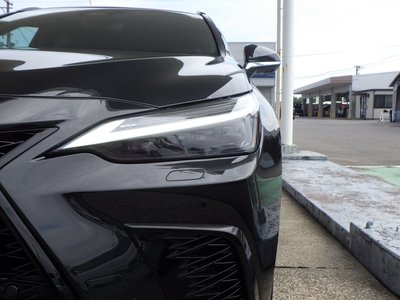 2024 Lexus NX 缩略图 13