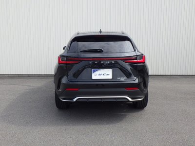 2024 Lexus NX 照片 8