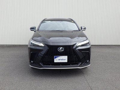 2024 Lexus NX 缩略图 12