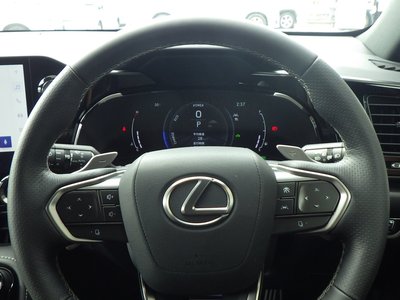 2024 Lexus NX 缩略图 20