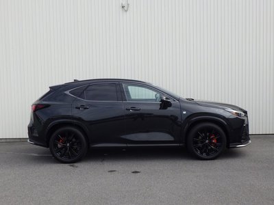 2024 Lexus NX 照片 6