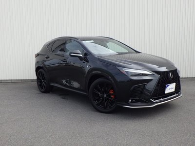 2024 Lexus NX 照片 5