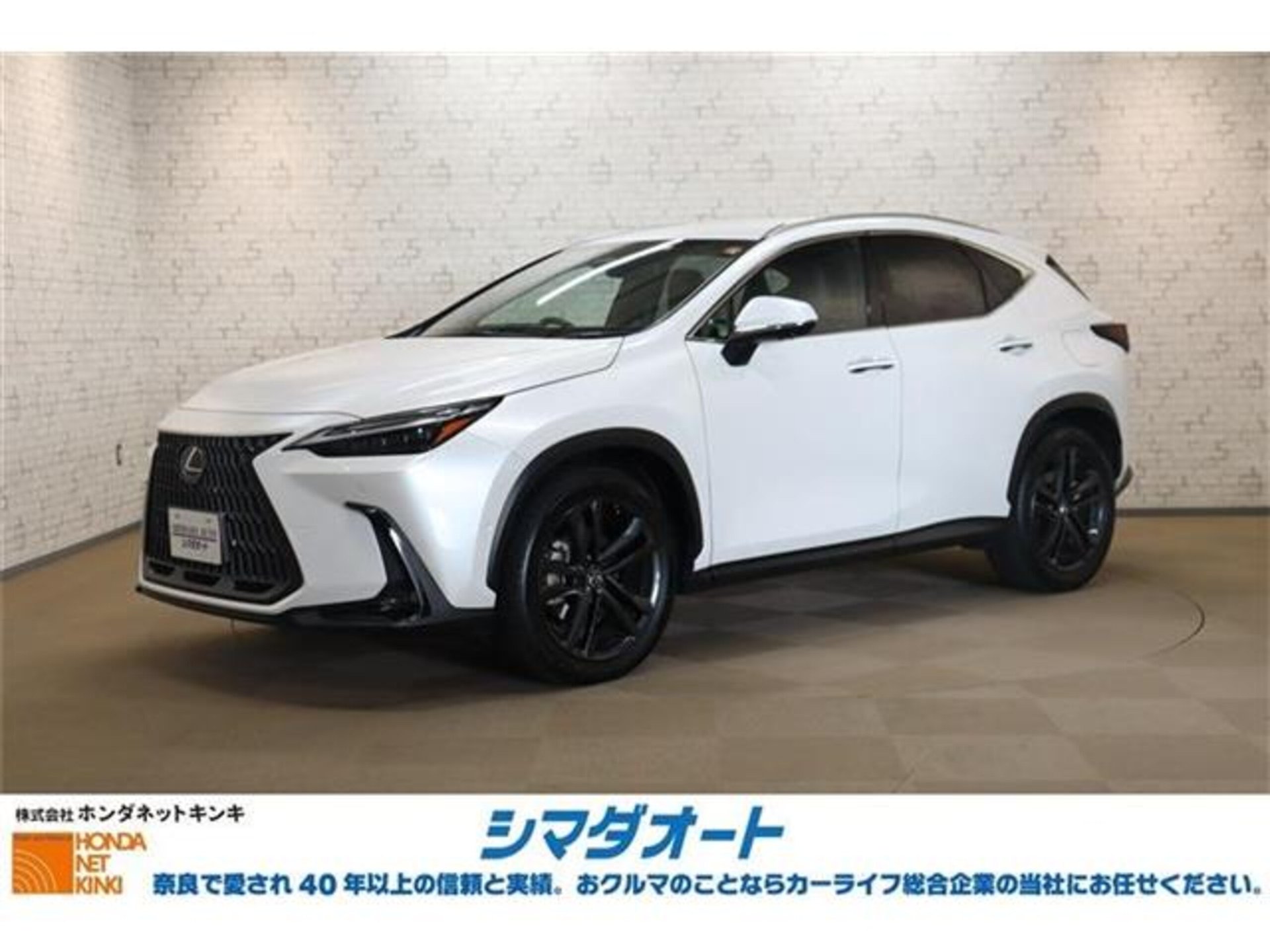 LEXUS NX - View 1
