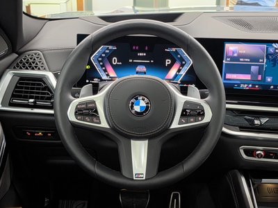 2025 BMW X6 缩略图 14