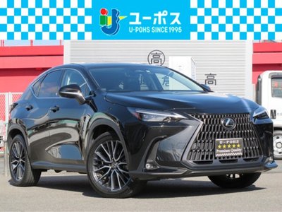 LEXUS NX - 1