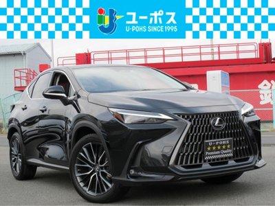 LEXUS NX - 2