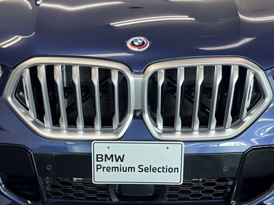 2023 BMW X6 缩略图 18