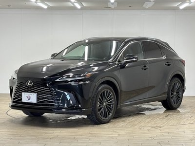صورة مصغرة 30 لـ 2023 Lexus RX