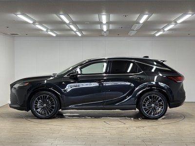 صورة مصغرة 33 لـ 2023 Lexus RX