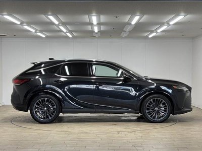 صورة مصغرة 18 لـ 2023 Lexus RX