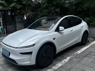 2025 Tesla MODEL Y photo 2