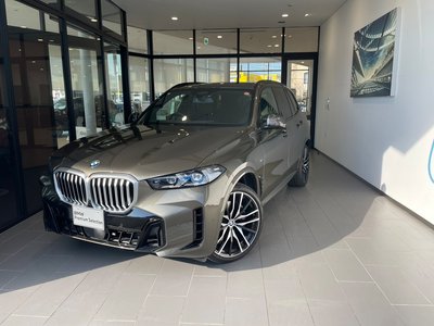 BMW X5 - 1