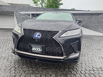 LEXUS RX - 6