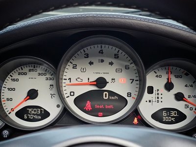 2009 Porsche 911 — миниатюра 20