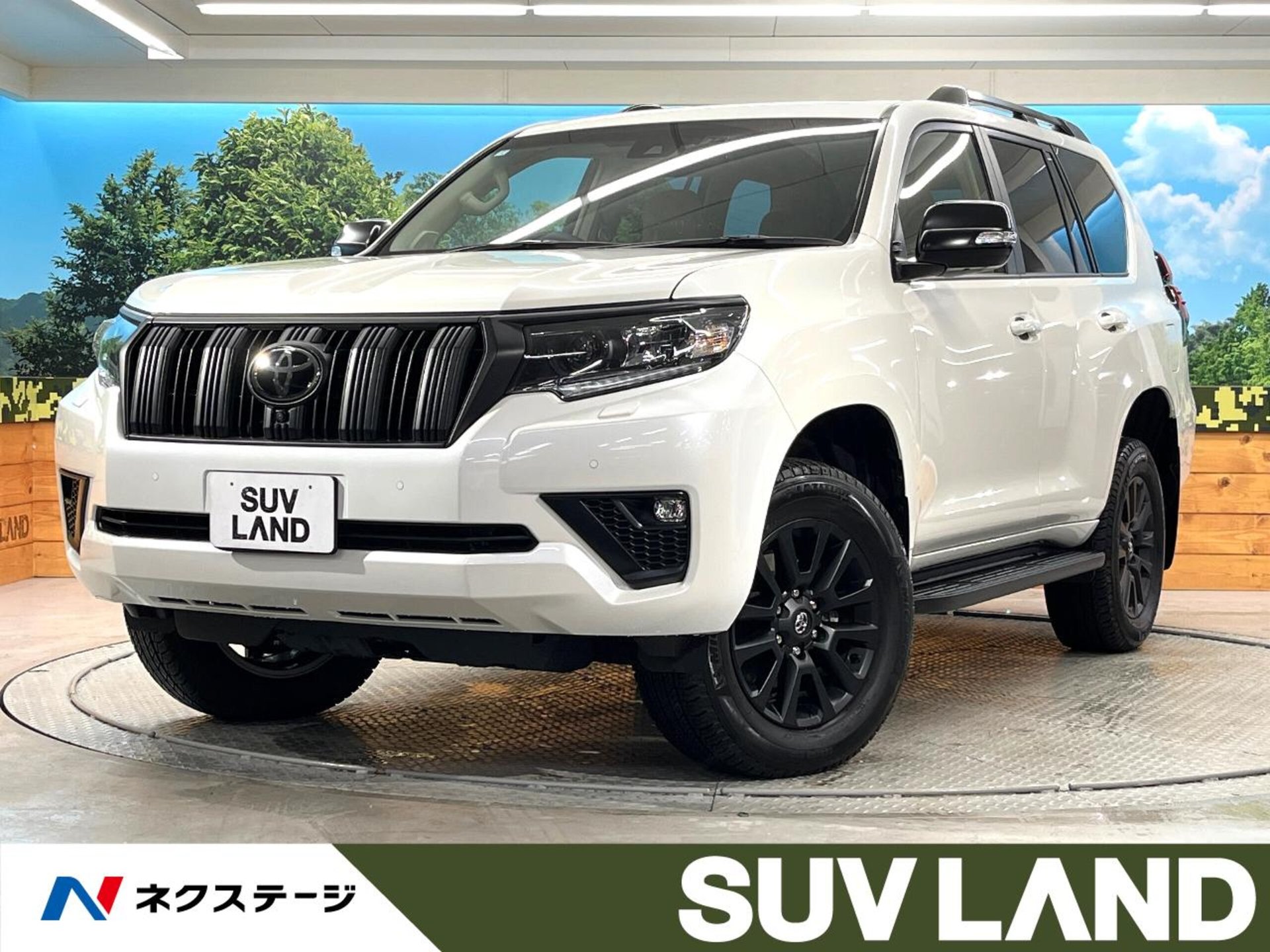 TOYOTA LAND CRUISER PRADO - View 1